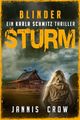 Blinder Sturm: Thriller Cover des Buches Blinder Sturm: Thriller