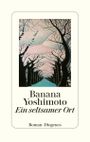 Ein seltsamer Ort Cover des Buches Ein seltsamer Ort (ISBN: 9783257072389)