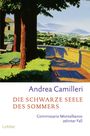 Die schwarze Seele des Sommers Cover des Buches Die schwarze Seele des Sommers (ISBN: 9783404164547)