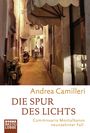 Die Spur des Lichts Cover des Buches Die Spur des Lichts (ISBN: 9783404177837)