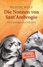 Die Nonnen von Sant' Ambrogio Cover des Buches Die Nonnen von Sant' Ambrogio (ISBN: 9783423348447)