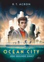 Ocean City – Jede Sekunde zählt Cover des Buches Ocean City – Jede Sekunde zählt (ISBN: 9783423718608)