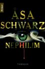 Nephilim Cover des Buches Nephilim (ISBN: 9783426507667)