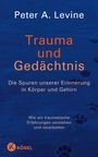 Trauma und Gedächtnis Cover des Buches Trauma und Gedächtnis (ISBN: 9783466346196)