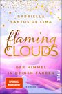 Flaming Clouds – Der Himmel in deinen Farben Cover des Buches Flaming Clouds – Der Himmel in deinen Farben (ISBN: 9783492062510)