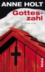 Gotteszahl Cover des Buches Gotteszahl (ISBN: 9783492273619)