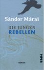 Die jungen Rebellen Cover des Buches Die jungen Rebellen (ISBN: 9783492960045)