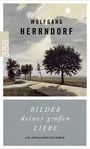Bilder deiner großen Liebe Cover des Buches Bilder deiner großen Liebe (ISBN: 9783499269097)