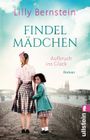 Findelmädchen Cover des Buches Findelmädchen (ISBN: 9783548065687)