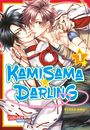 Kamisama Darling 1 Cover des Buches Kamisama Darling 1 (ISBN: 9783551722263)