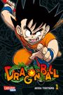 Dragon Ball Massiv 1 Cover des Buches Dragon Ball Massiv 1 (ISBN: 9783551727886)