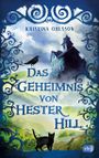 Das Geheimnis von Hester Hill Cover des Buches Das Geheimnis von Hester Hill (ISBN: 9783570175149)