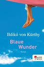 Blaue Wunder Cover des Buches Blaue Wunder (ISBN: 9783644201316)