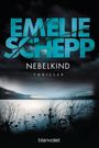 Nebelkind Cover des Buches Nebelkind (ISBN: 9783734100697)