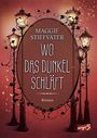 Wo das Dunkel schläft (Band 4) Cover des Buches Wo das Dunkel schläft (Band 4) (ISBN: 9783743213739)