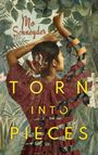 Torn into Pieces Cover des Buches Torn into Pieces (ISBN: 9783755735427)