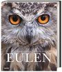Eulen Cover des Buches Eulen (ISBN: 9783806235838)