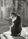 Wegler Cats Edition - Kalender 2019 Cover des Buches Wegler Cats Edition - Kalender 2019 (ISBN: 9783840158124)