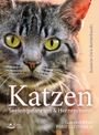 Katzen – Seelengefährten & Herzeroberer Cover des Buches Katzen – Seelengefährten & Herzeroberer (ISBN: 9783843413343)