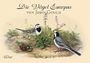 John Gould - Die Vögel Europas Cover des Buches John Gould - Die Vögel Europas (ISBN: 9783898368568)