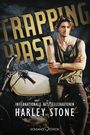 Trapping Wasp Cover des Buches Trapping Wasp (ISBN: 9783903519084)