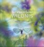 Verwunschene Wildnis Cover des Buches Verwunschene Wildnis (ISBN: 9783954162703)