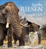 Sanfte Riesen Cover des Buches Sanfte Riesen (ISBN: 9783954163069)