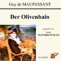 Der Olivenhain Cover des Buches Der Olivenhain (ISBN: B00OKR3GZU)