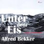 Unter dem Eis Cover des Buches Unter dem Eis (ISBN: B0753G2P8K)