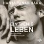 Ein wenig Leben Cover des Buches Ein wenig Leben (ISBN: 9783869092379)