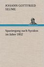 Spaziergang nach Syrakus im Jahre 1802 Cover des Buches Spaziergang nach Syrakus im Jahre 1802 (ISBN: 9783847267119)