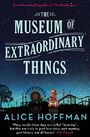 The Museum of Extraordinary Things Cover des Buches The Museum of Extraordinary Things (ISBN: 9781471112157)