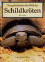 Die geheimnisvolle Welt der Schildkröten Cover des Buches Die geheimnisvolle Welt der Schildkröten (ISBN: 9783860703656)