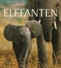 Elefanten Cover des Buches Elefanten (ISBN: 9783809423614)