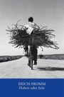Haben oder Sein Cover des Buches Haben oder Sein (ISBN: 9783423195195)