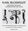 Karl Blossfeldt: Urformen der Kunst - Wundergarten der Natur Cover des Buches Karl Blossfeldt: Urformen der Kunst - Wundergarten der Natur (ISBN: 9783888147180)